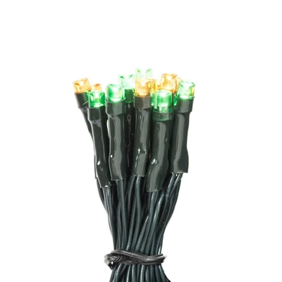 Vickerman Battery Operated LED Lights 2 Vickerman Battery Operated LED Lights - Image 2