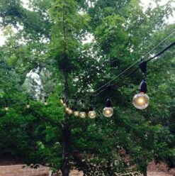 Novelty Lights Globe Outdoor String Lights With 25 Suspended Sockets Suspended Black Wire 25 Feet -Famous Lighting Store GUEST cc3a3959 4178 4232 a50a 95bf4508b38d