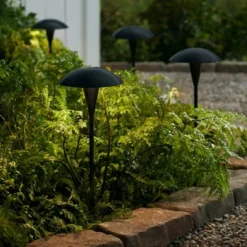 John Timberland Large Mushroom 18" High Black Low Voltage LED Path Light 12 John Timberland Large Mushroom 18" High Black Low Voltage LED Path Light -Famous Lighting Store GUEST dfbaf188 b57d 4bca a86b cbf76ed2b13f